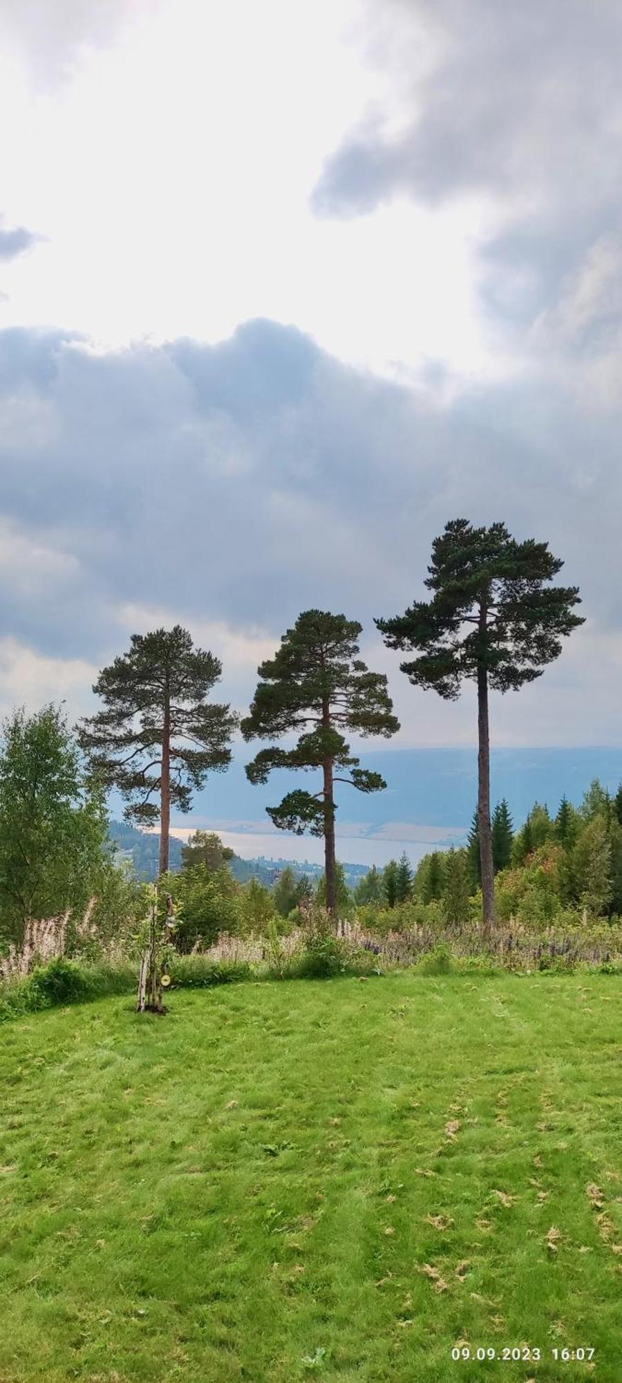 Apartament Nordgards Hagen Lillehammer Zewnętrze zdjęcie
